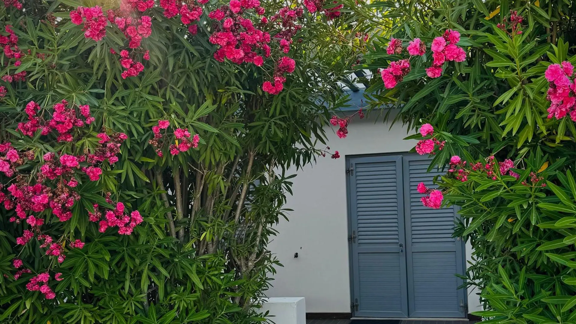Baia Sangiorgio Hotel & Beach Club Bari